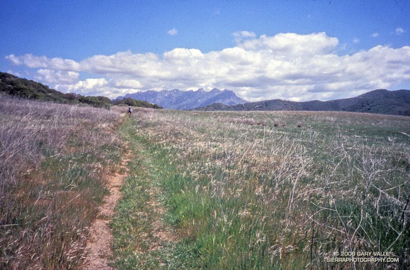 Spring in La Jolla Valley. Boney Mountain in the distance. March 2002.