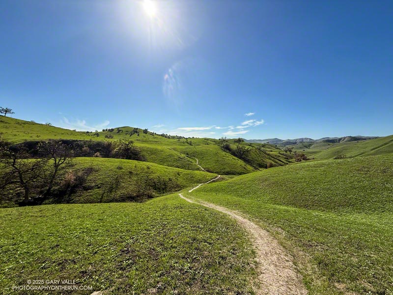 Green hills in Upper Las Virgenes Canyon Open Space Preserve (Ahmanson Ranch), nearly two months after the Kenneth Fire.