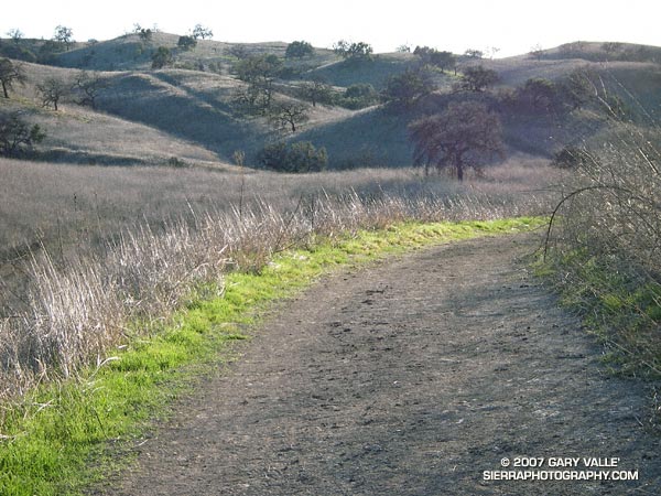 Grass along the margins of the main drag in Upper Las Virgenes Canyon Open Space Preserve,formerly Ahmanson Ranch.