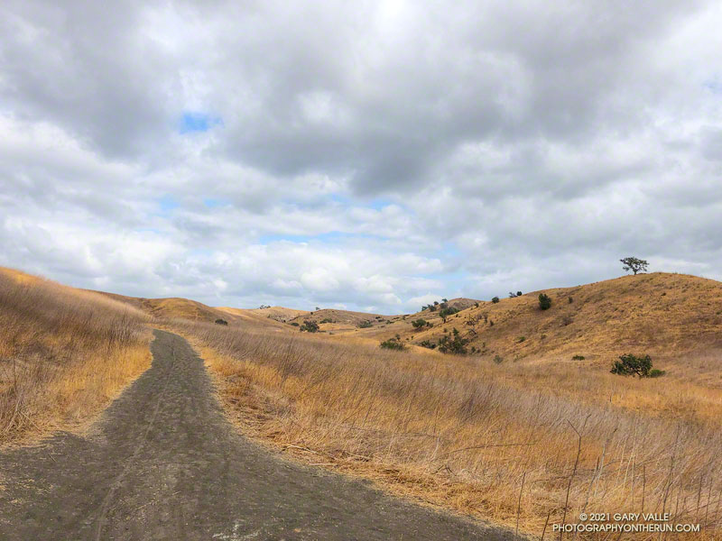 East Las Virgenes Canyon Trail in Upper Las Virgenes Canyon Open Space Preserve