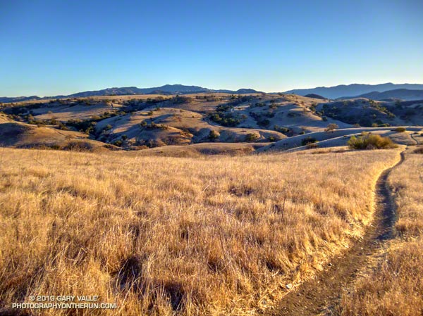 Driest Year on Record in Los Angeles