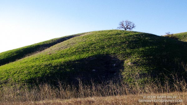 Greening hill at Ahmanson Ranch -- now Upper Las Virgenes Canyon Open Space Preserve.