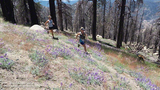 Ann and Skye on trail 10W04, between Mt. Waterman and Three Points