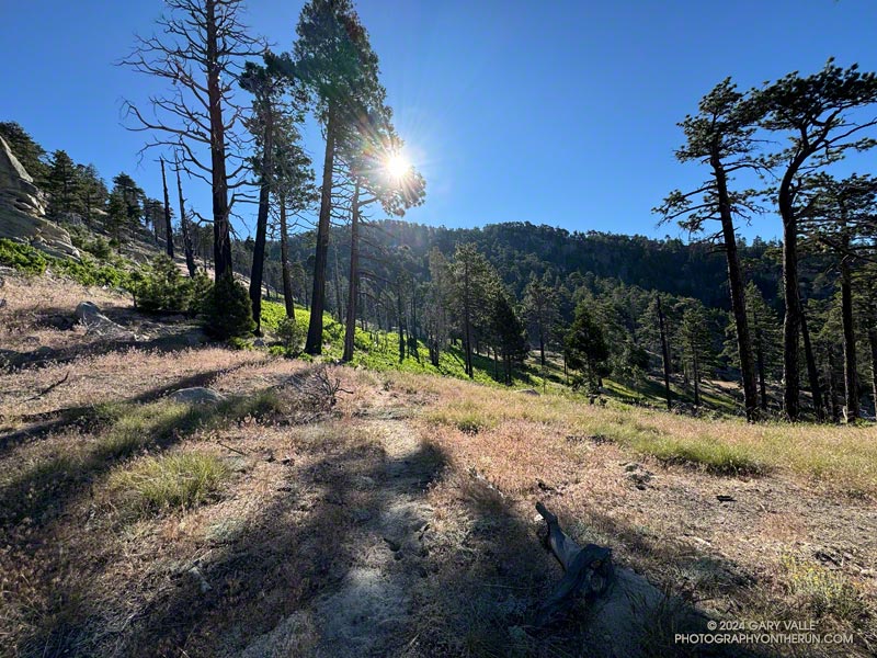 Approaching Waterman Meadow on the Three Points - Mt. Waterman Trail.