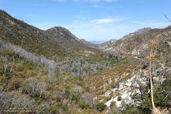 Arroyo Seco from the Gabrielino Trail, about 1.5 miles from Red Box