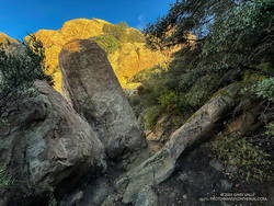 Backbone Trail below Saddle Peak.