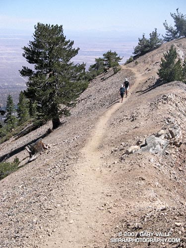 Nearing the summit of Mt. Baden-Powell, in the San Gabriel Mountains.