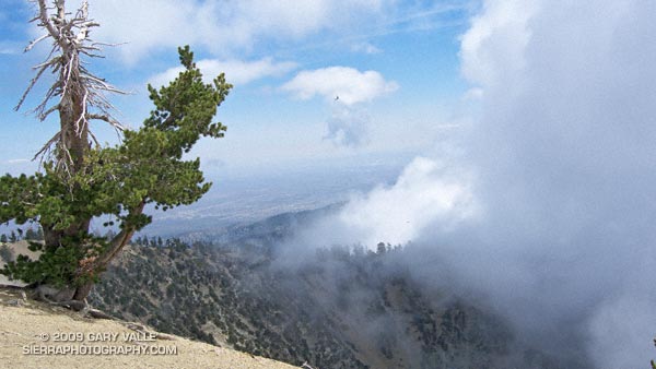 View from near the summit of Mt. Baden-Powell.