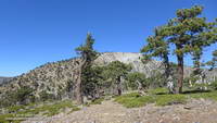 Bench on Mt. Baden-Powell's South Ridge.