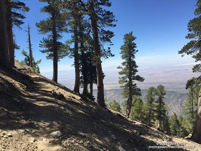 Pacific Crest Trail on Mt. Baden-Powell