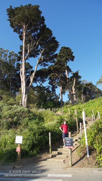 Brett at the start of the East Battery Trail on our Presidio loop trail run.