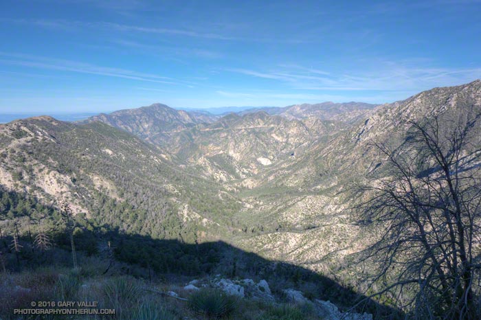 Bear Canyon from the upper Bear Canyon Trail, above Tom Sloan Saddle.