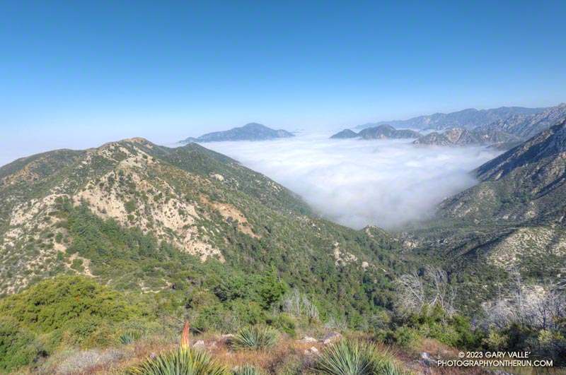 Marine layer pushing into Bear Canyon in the San Gabriel Mountains, near Los Angeles.