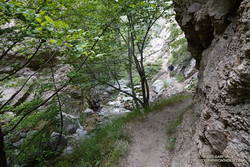 Bear Canyon Trail near Arroyo Seco