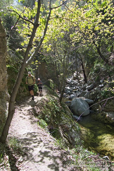 Running in Bear Canyon.
