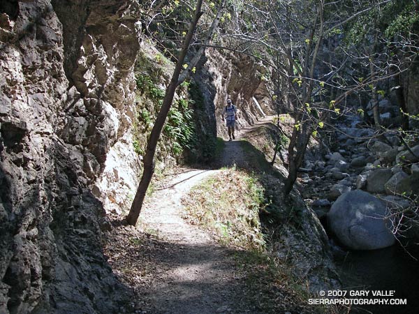 Trail runner in Bear Canyon, in the San Gabriel Mountains.