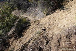 One of several sections of the Bent Arrow Trail damaged by slides. January 2,2022.