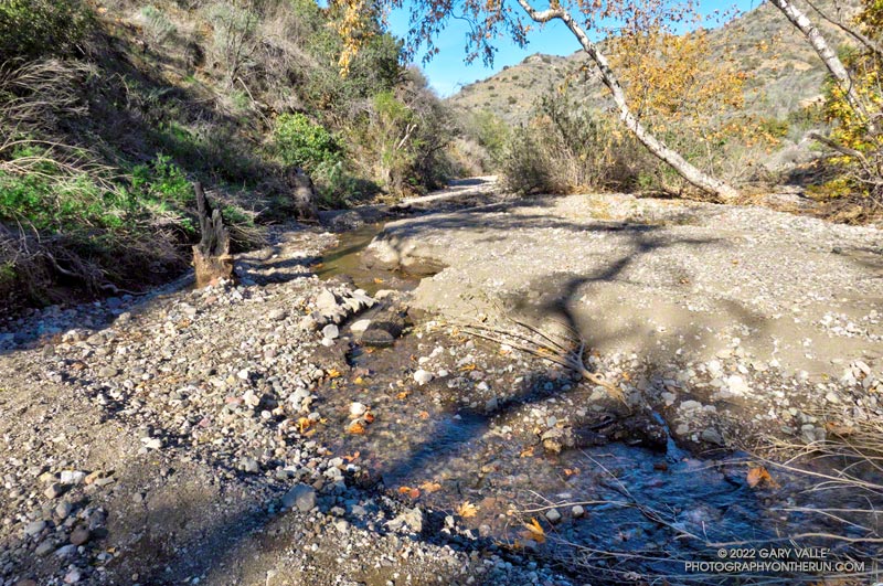 A section of the Blue Canyon Trail in Pt. Mugu State Park washed out by gravels and sediment from December 2021 storm runoff. The photo was taken January 9, 2022.