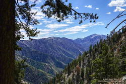 Blue Ridge and Pine Mountain from the PCT on the north side of Mt. Baden-Powell.