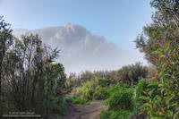 Boney Mountain's Western Ridge from the Old Boney Trail