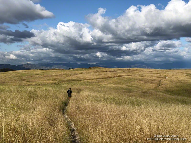 Lasky Mesa Runner, Grassland, and Clouds