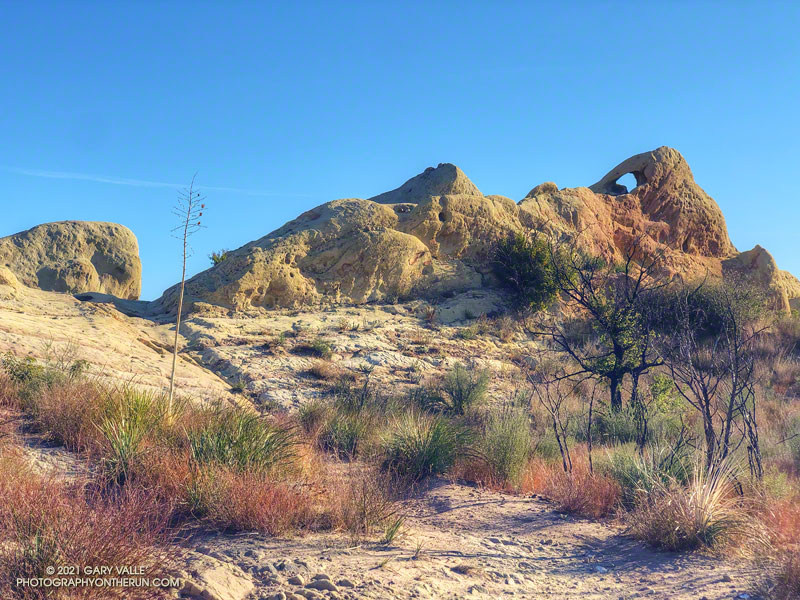 A natural sculpture of a sandstone mammoth on the Backbone Trail