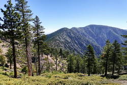 Mt. Burnham, Peak 9086, and Mt. Baden-Powell from near Throop Peak.