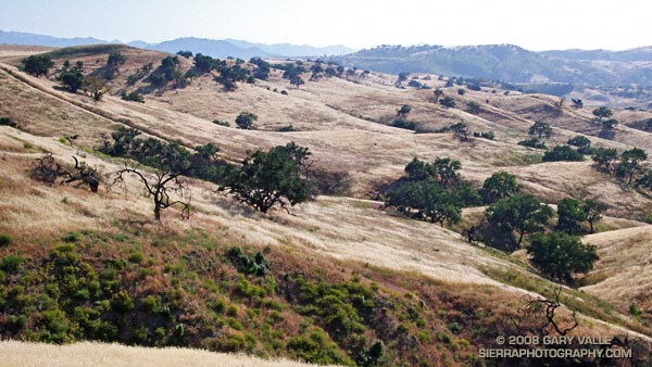 Sun burnished hills along Lasky Mesa in Upper Las Virgenes Canyon Open Space Preserve.