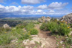 Trail leading to Castle Peak