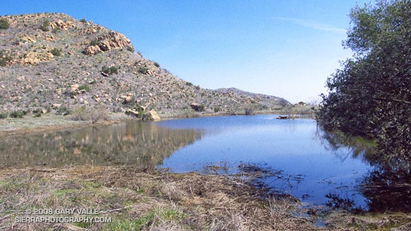 Vernal pool near the sheep corral at China Flat in the Simi Hills.