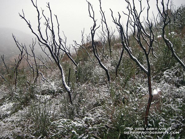 Snow along the Chumash Trail - March 11, 2006