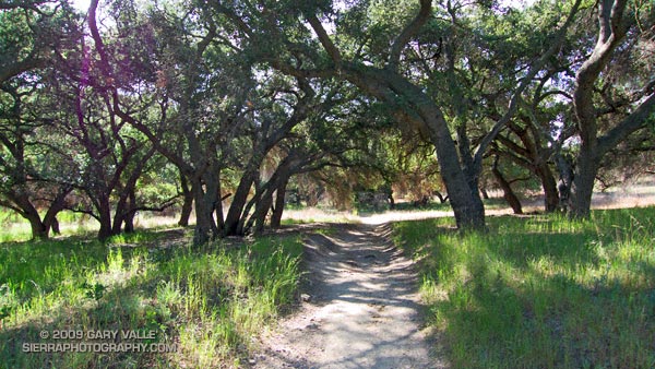 Cheeseboro Canyon