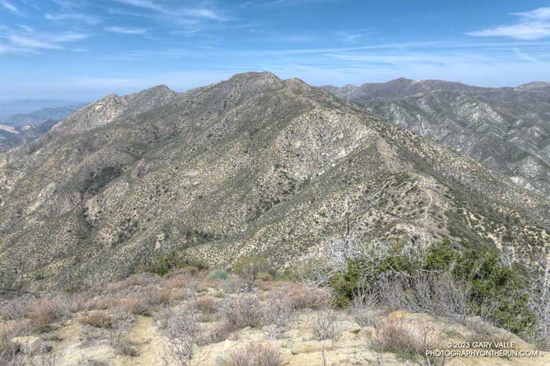 Condor Peak from Fox Mountain