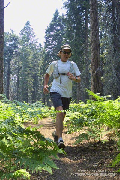 Running in the San Jacinto Wilderness, near Skunk Cabbage Meadow