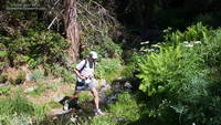 Small stream below Saxton Camp.