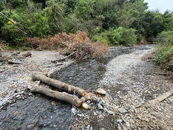 Creek at bottom of Josepho Drop Trail. (thumbnail)