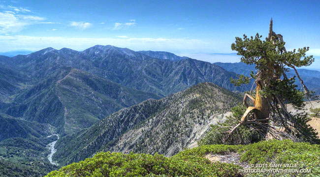 Mt. Baldy from Mt. Baden-Powell