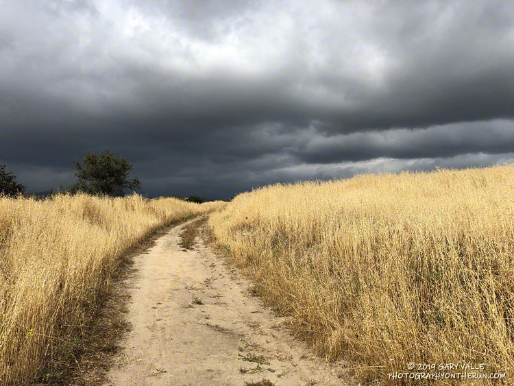 Dark Clouds and Sun. Photography by Gary Valle'.