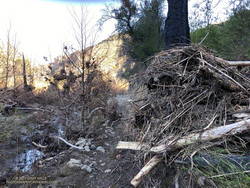 Flood debris on the Crags Road Trail January 2023