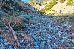 One of the washes crossed by the Manzanita Trail, about a mile below Vincent Gap.