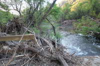 View downstream from bridge across Malibu Creek on Crags Road.