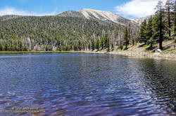 San Gorgonio Mountain's summit, on the left of the crest, is more than 2400' above Dry Lake.