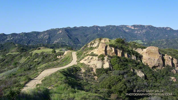 Eagle Springs Fire Road, between the Hub and Trippet Ranch, in Topanga State Park