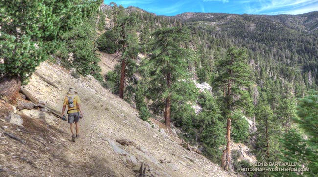 Falls Creek Trail on San Gorgonio MOuntain