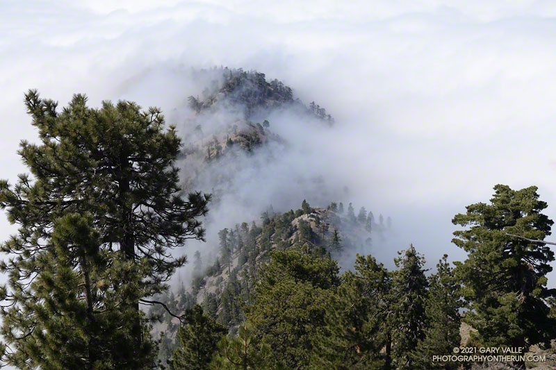 South Ridge of Mt. Baden-Powell about a mile from Ross Mountain