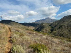 The Fireline Trail climbs out of Sycamore Canyon. Boney Mountain is in the distance.