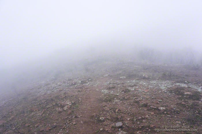 In a cloud, on Boney Mountain's Western Ridge. January 10, 2016.
