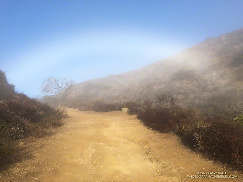 Fogbow Near the Top of Hell Hill in Pt. Mugu State Park