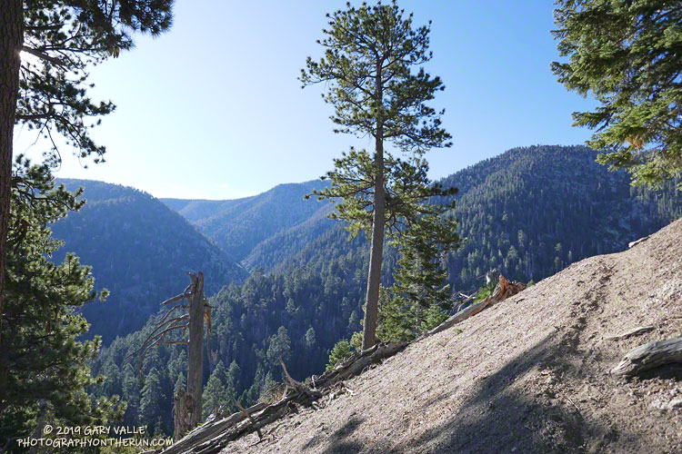 Forsee Creek canyon from the John's Meadow Trail in the San Gorgonio Wilderness.