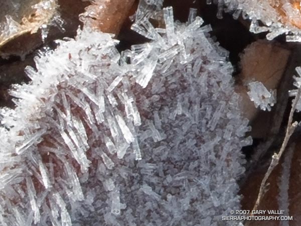 Magnifying a small section of a 10 Mp image revealed that the frost is comprised of hollow columns.